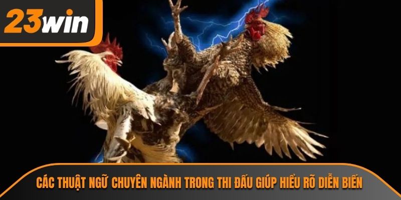 Các thuật ngữ chuyên ngành trong thi đấu giúp hiểu rõ diễn biến