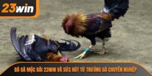 đá gà mộc bài