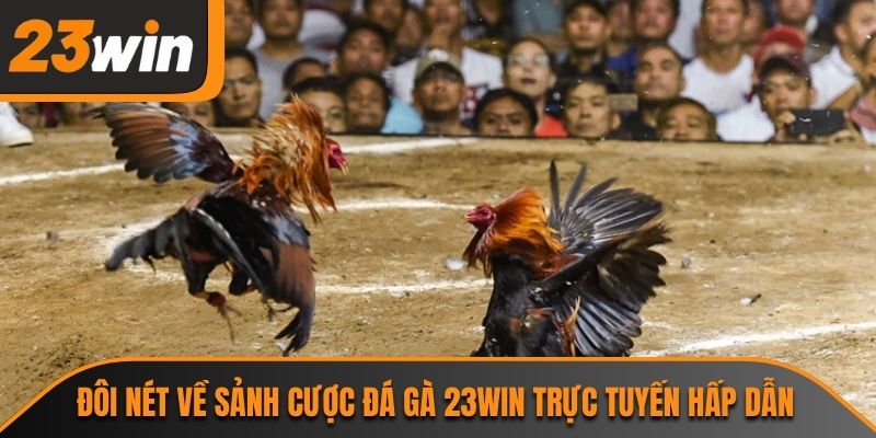 Đôi nét về sảnh cược đá gà 23WIN trực tuyến hấp dẫn