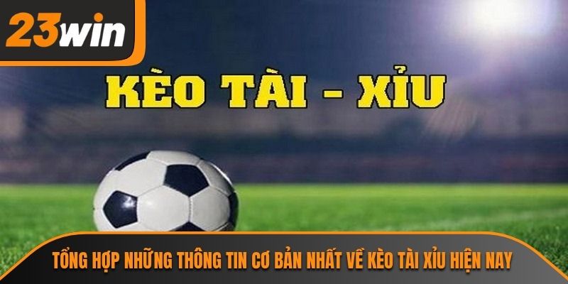 Tổng hợp những thông tin cơ bản nhất về kèo tài xỉu hiện nay