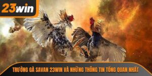 trường gà Savan
