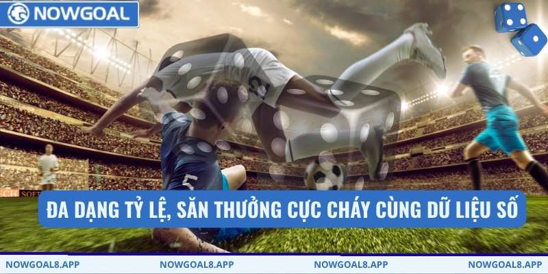 Đa dạng tỷ lệ, săn thưởng cực cháy cùng dữ liệu số